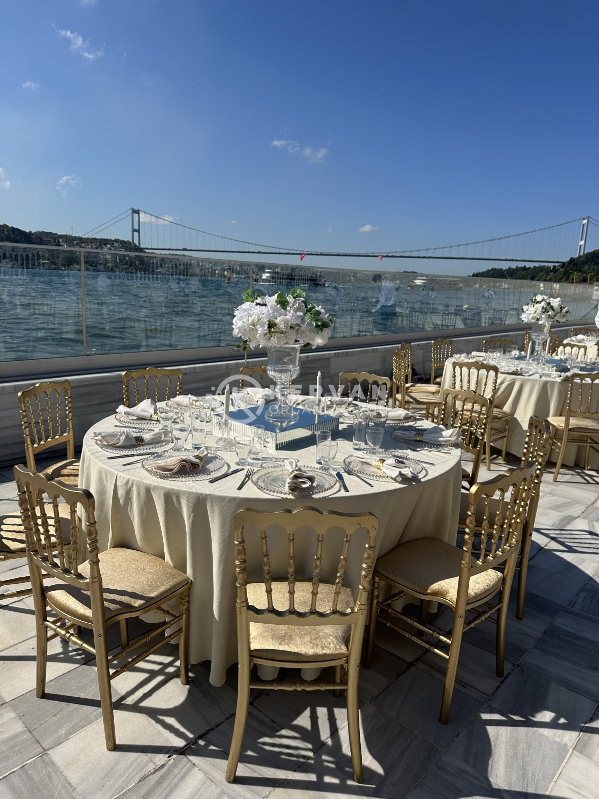 Gold Napolyon Sandalye Kiralama